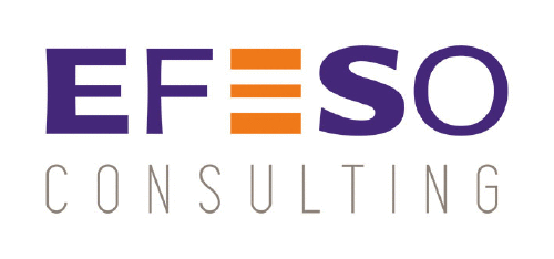 Logo der Firma EFESO Consulting GmbH