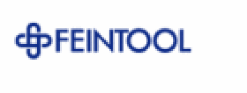 Logo der Firma Feintool International Holding AG