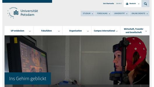 Website Promotion