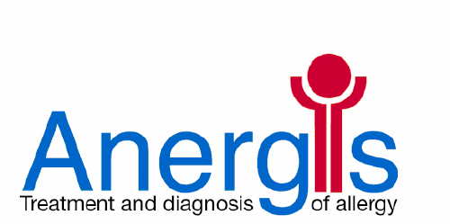 Logo der Firma ANERGIS SA