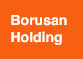 Logo der Firma Borusan Lojistik
