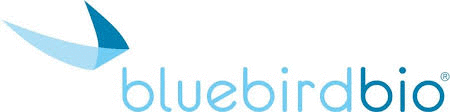 Logo der Firma bluebird bio (Germany) GmbH