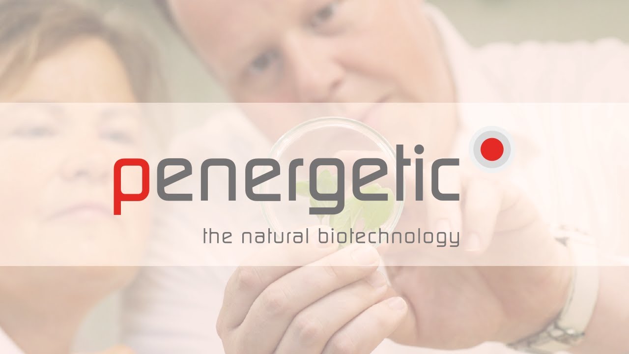 Penergetic International AG -Company Video
