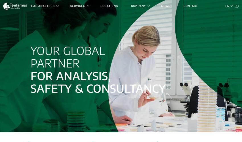 Website Promotion