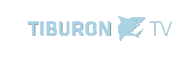 Logo der Firma TIBURON Unternehmensaufbau GmbH