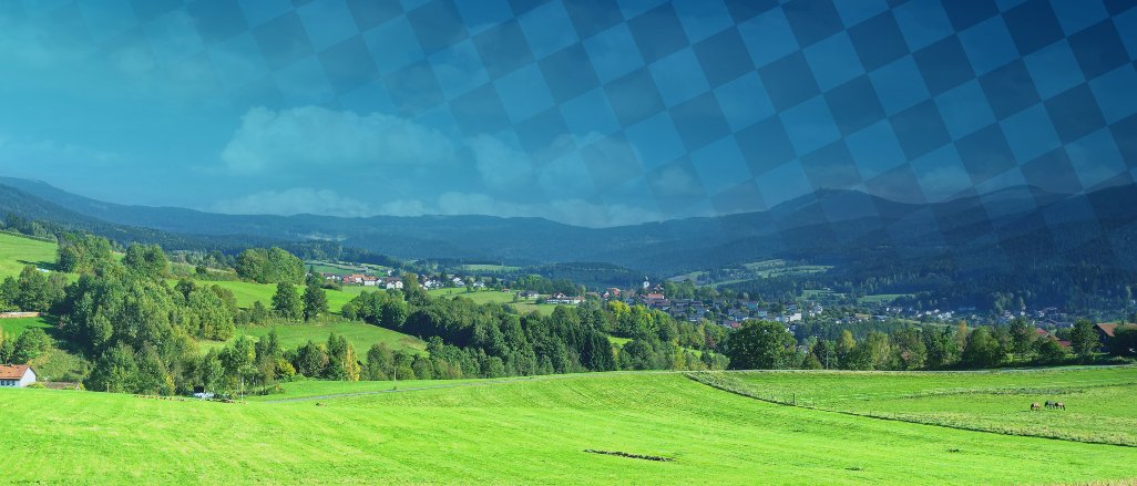 Titelbild der Firma Servus Digital