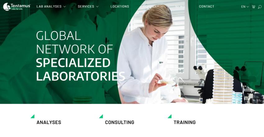 Website Promotion