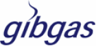 Company logo of gibgas medien