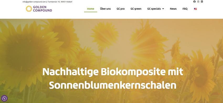 Website Promotion