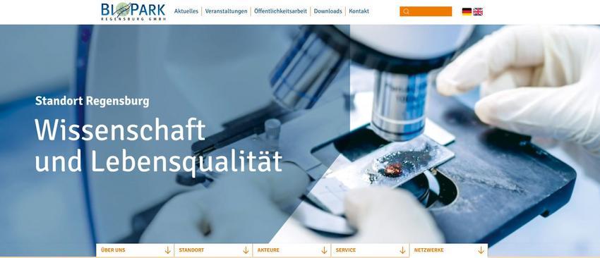 Website Promotion