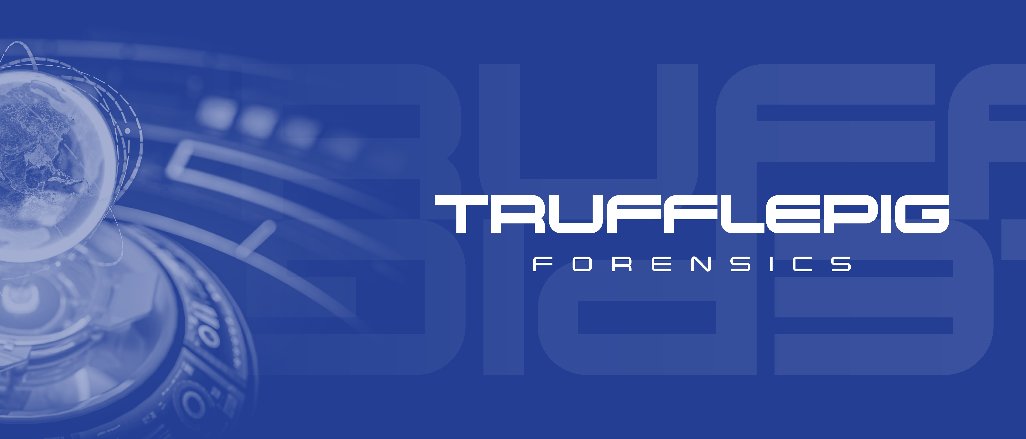 Titelbild der Firma Trufflepig IT-Forensics GmbH