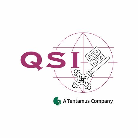 QSI_logo_GroupTag 700x700.jpg