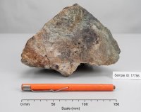 Tafel 1: Foto der Probenplatte 17796. Der durch Roscoelit-Adularia alterierte Feldspat-Porphyr ergab 32,8 g/t Au und 130 g/t Ag