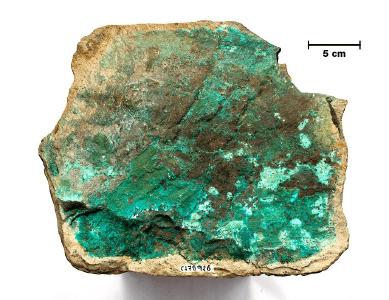 Abbildung 3. Kupfermineralisierung (grün ist Malachit - ein Kupfercarbonatmineral) im Tuff vom Kirus-Ziel