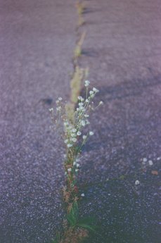 markus-spiske-HSRKRTN7l-E-unsplash-scaled.jpg