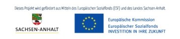 Logo_EU_web.jpg