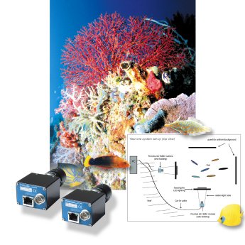 Prosilica GC1380C_Coral-Reef_Fish-Study.jpg