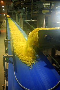 Conveying of french fries at Avico (2).tif