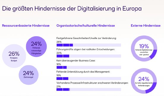 Docusign-DMR-2024-Hindernisse-EU.png