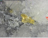 Gold faktisch als globale Reservewährung