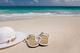 Reise-Domains reisen an.....