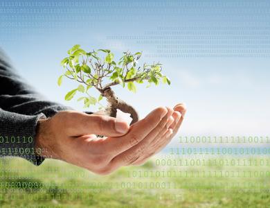 Ein neues Bäumchen für jeden Neukunden: ReadSoft engagiert sich für die Umwelt