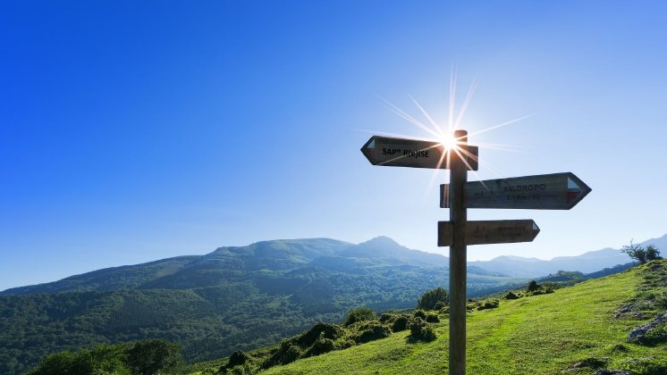 Mit entplexit und SAP RISE zum Gipfel.jpg