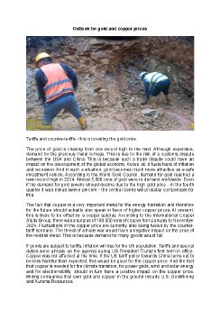 06.02.2025 Aussichten für Gold- und Kupferpreis en.pdf