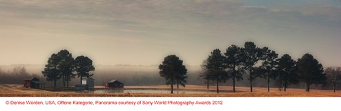 Copyright Denise Worden, USA, Open, Panorama courtesy of Sony World Photography Awards 2012.png