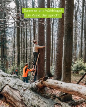 Meta Beitrag (10).png