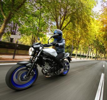 Suzuki SV650