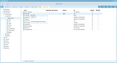 Screenshot BSI CRM 12.7: Administration ohne Programmierkenntnisse (hier ein Dialogfeld)