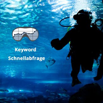 SEO-Diver-Keyword-Schnellabfrage 1080x1080 Pixel.jpg