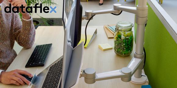 Dataflex Viewlite Anwenung