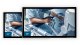 Canvys Expands 4K Display Platform for Medical Applications with New 32-Inch Monitor