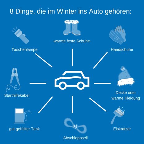 Infografik Winter Auto.jpg