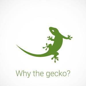 Was haben der Gecko und myGEKKO gemeinsam?
