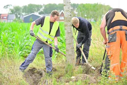 IKT-Versuchsstand-Wurzeleinwuchs-Abwasserrohre-Ausgrabung-Almere-10-hires.jpg