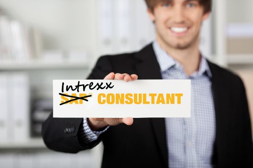 Intrexx Consultant.jpg