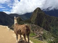 Macchu Pichu
