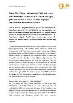 PM2222_iglidur_i3000_DLP.pdf