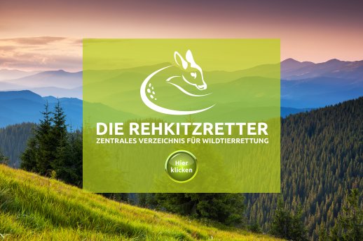 Berglandschaft-Logo-Button.jpg