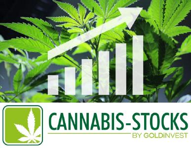 Quelle: Cannabisstocks by GOLDINVEST