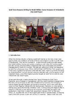 24022021_EN_Gold Terra Resource DEF[1].pdf