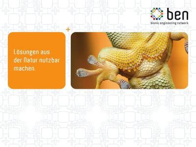 Inspiriert von der Natur: Fernstudium Konstruktionsbionik