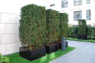 Das Grün auf den Punkt gebracht mit den großen Optigrün-Pflanzgefäßen ALU, Quelle: Optigrün