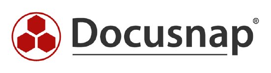 Docusnap_Logo.png
