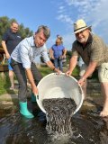  WEMAG-Vorstand Caspar Baumgart (v. l.)  und LAV-Präsident Bernd Dickau setzen gemeinsam die jungen Aale in die Elde ein. / Foto: WEMAG/Dr. Diana Kuhrau