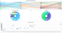 Ausschnitt aus dem Management Dashboard, das sowohl einen strategischen Überblick aber vor allem die Wertströme aufzeigt. Woher kommt das Geld, in welche Strategie- und Produkte wird es mit entsprechenden Chancen und Risiken investiert.