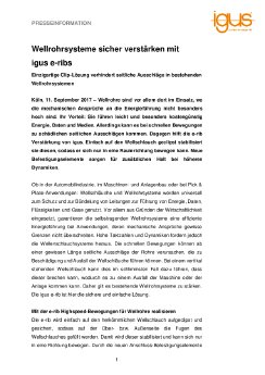 PM4917_e-rib_Schnellansicht.pdf